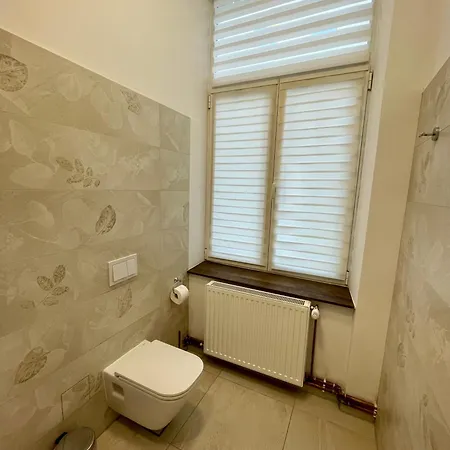 Resedinta Cina Гостьовий будинок Брашов